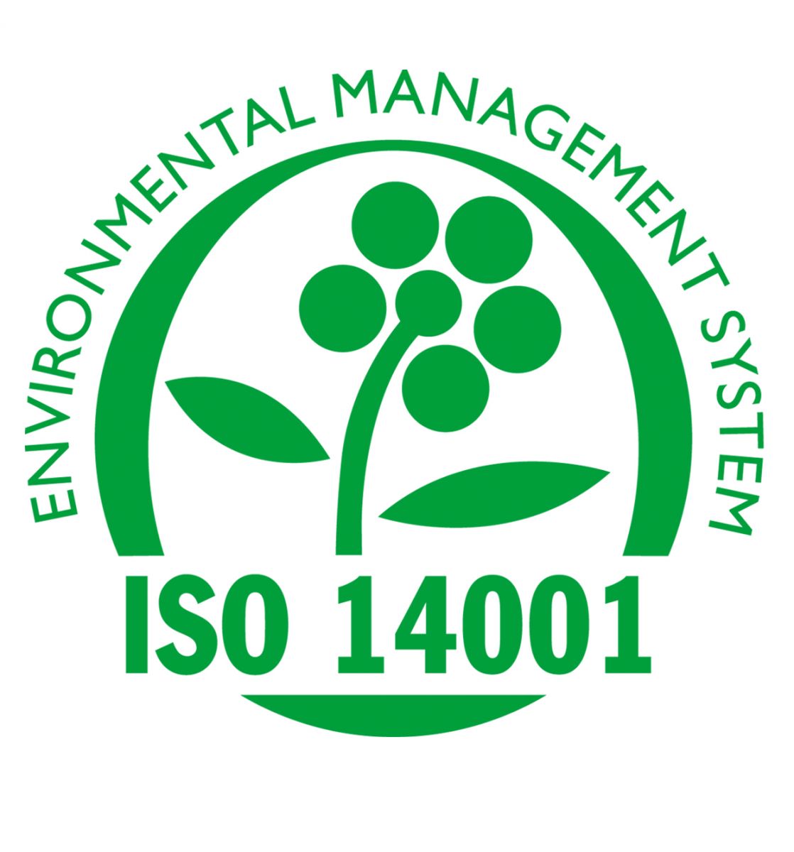 Achieving ISO 14001 Environmental Management System Certification