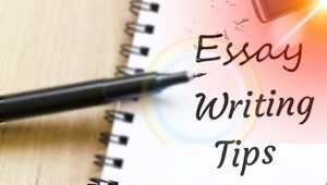 English Essay Writing