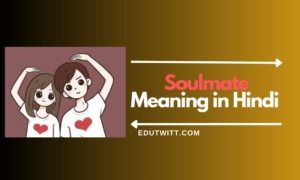 Soulmate Meaning in Hindi – soulmate का हिंदी में क्या मतलब है