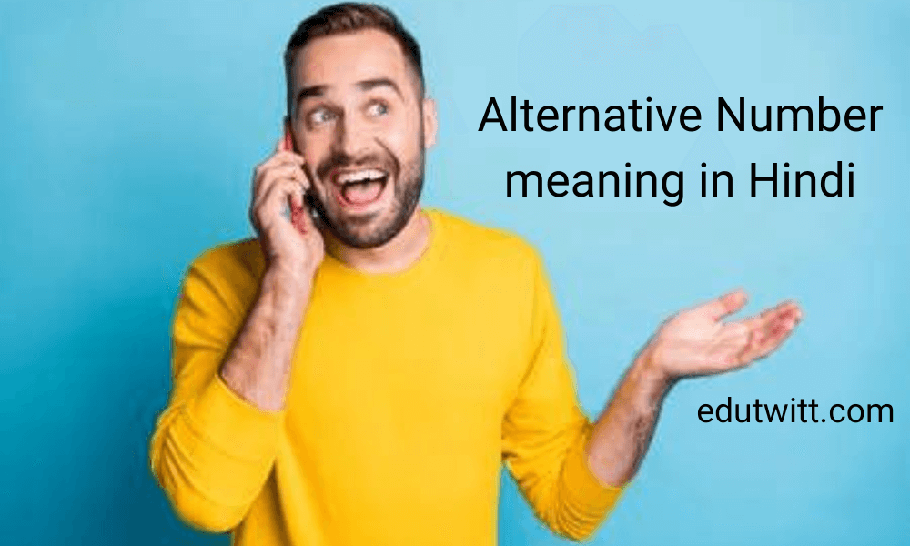 Alternative Number meaning in Hindi