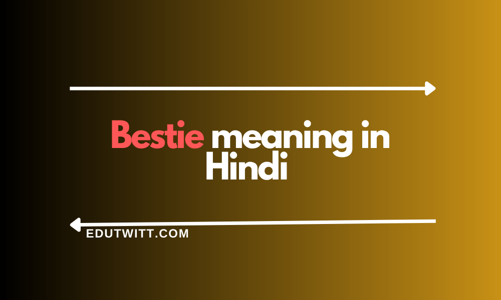 Bestie meaning in Hindi – Bestie का हिन्दी में क्या मतलब है?