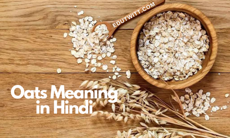 Oats Meaning in Hindi – Oats का हिंदी में क्या मतलब है? - Edutwitt.com