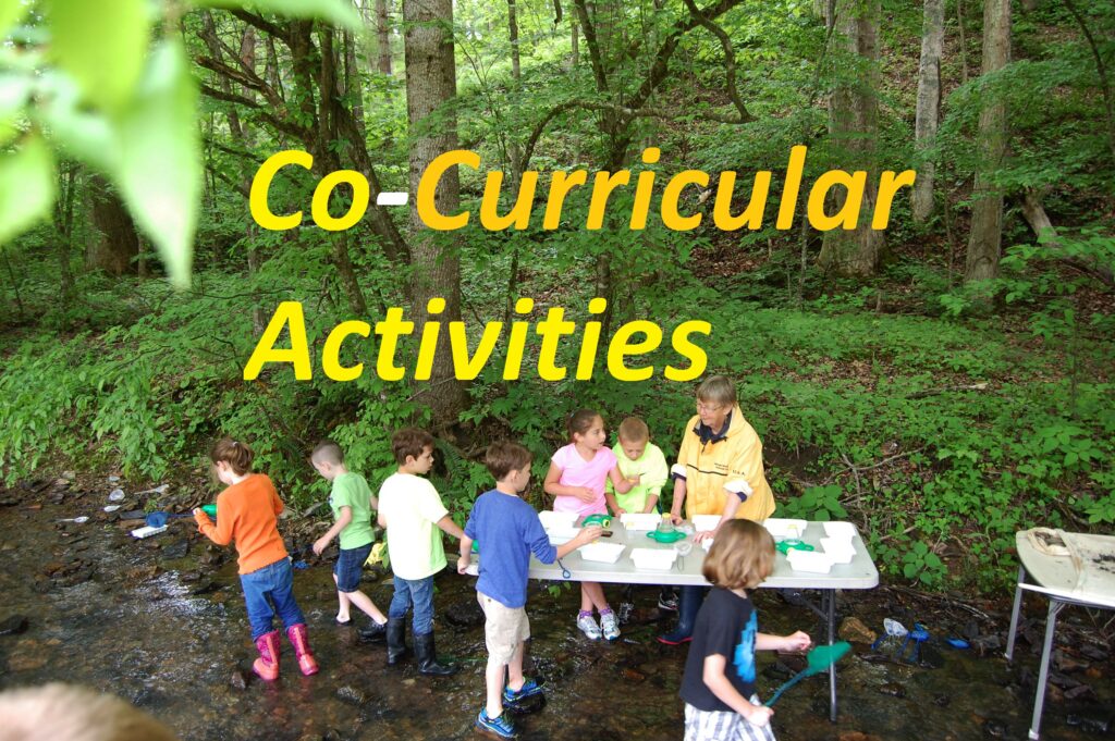 Importance of Co-Curricular activities in Hindi | सह पाठ्यक्रम गतिविधिया